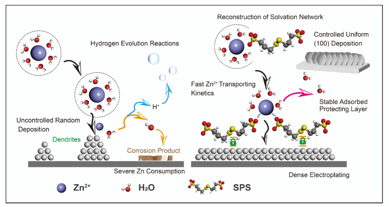 自慰
与克兰菲尔德大学联合培养的博士生李腾在Angewandte Chemie International Edition上发表最近研究成果